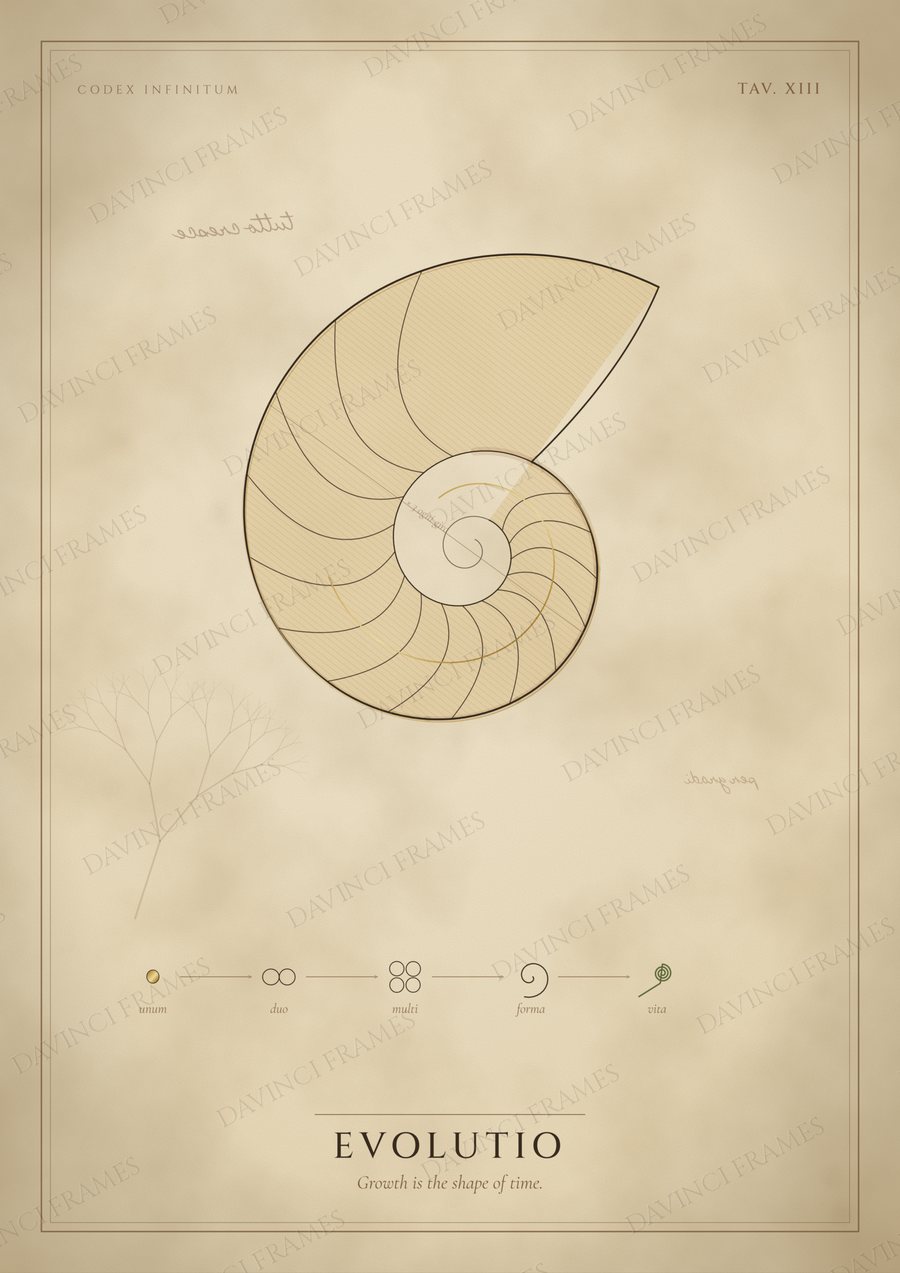 Evolutio · Tav. XIII — preview of your chosen frame
