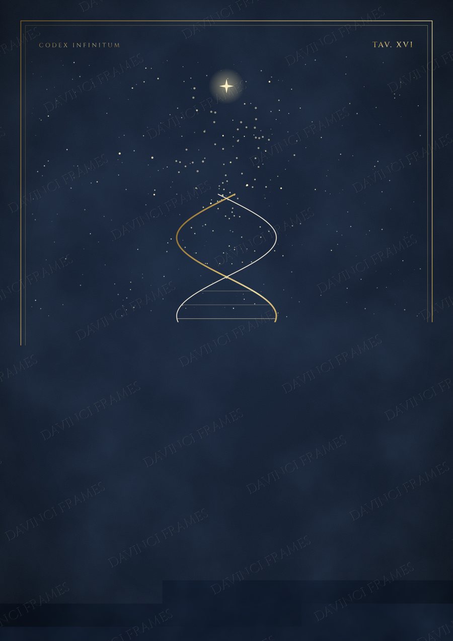 Homo · Tav. XVI — preview of your chosen frame