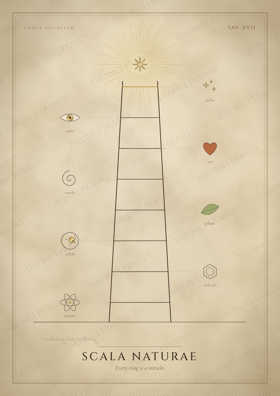 Scala Naturae · Tav. XVII — preview of your chosen frame