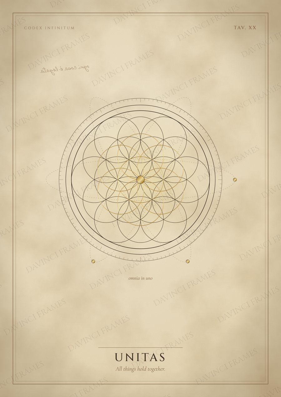 Unitas · Tav. XX — preview of your chosen frame